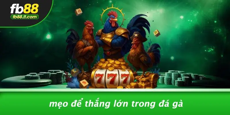 Mẹo Để Thắng Lớn Trong Đá Gà